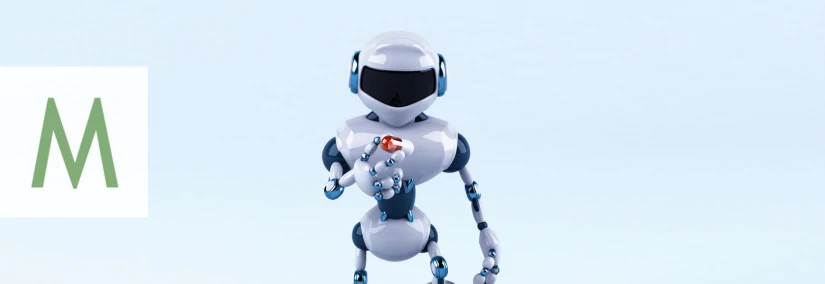 KI Vertreter EU AI Representativ